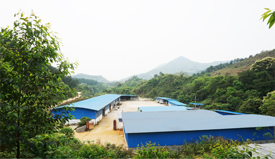 Company profile